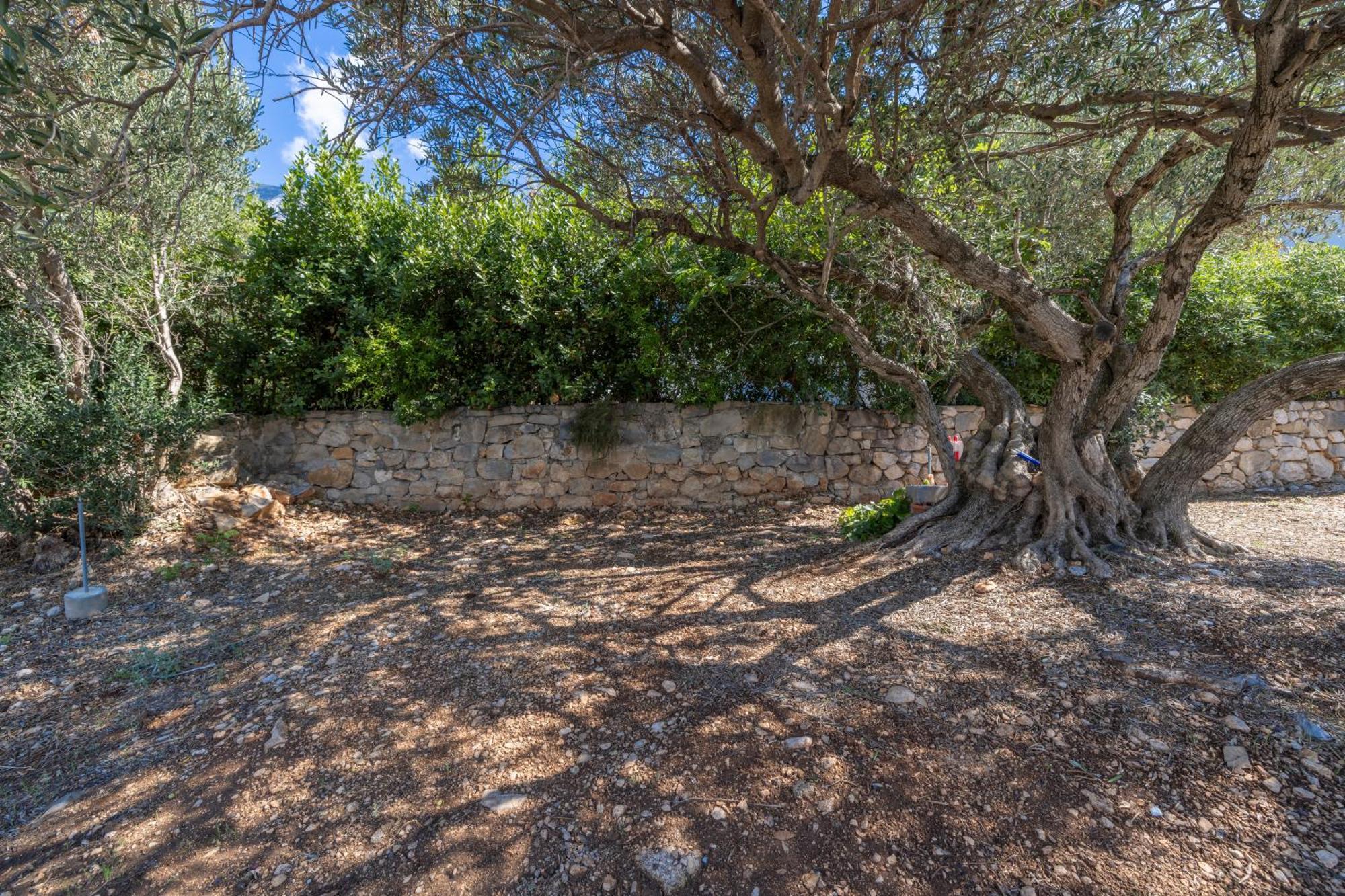 Apartmani Marta Tučepi Exterior foto