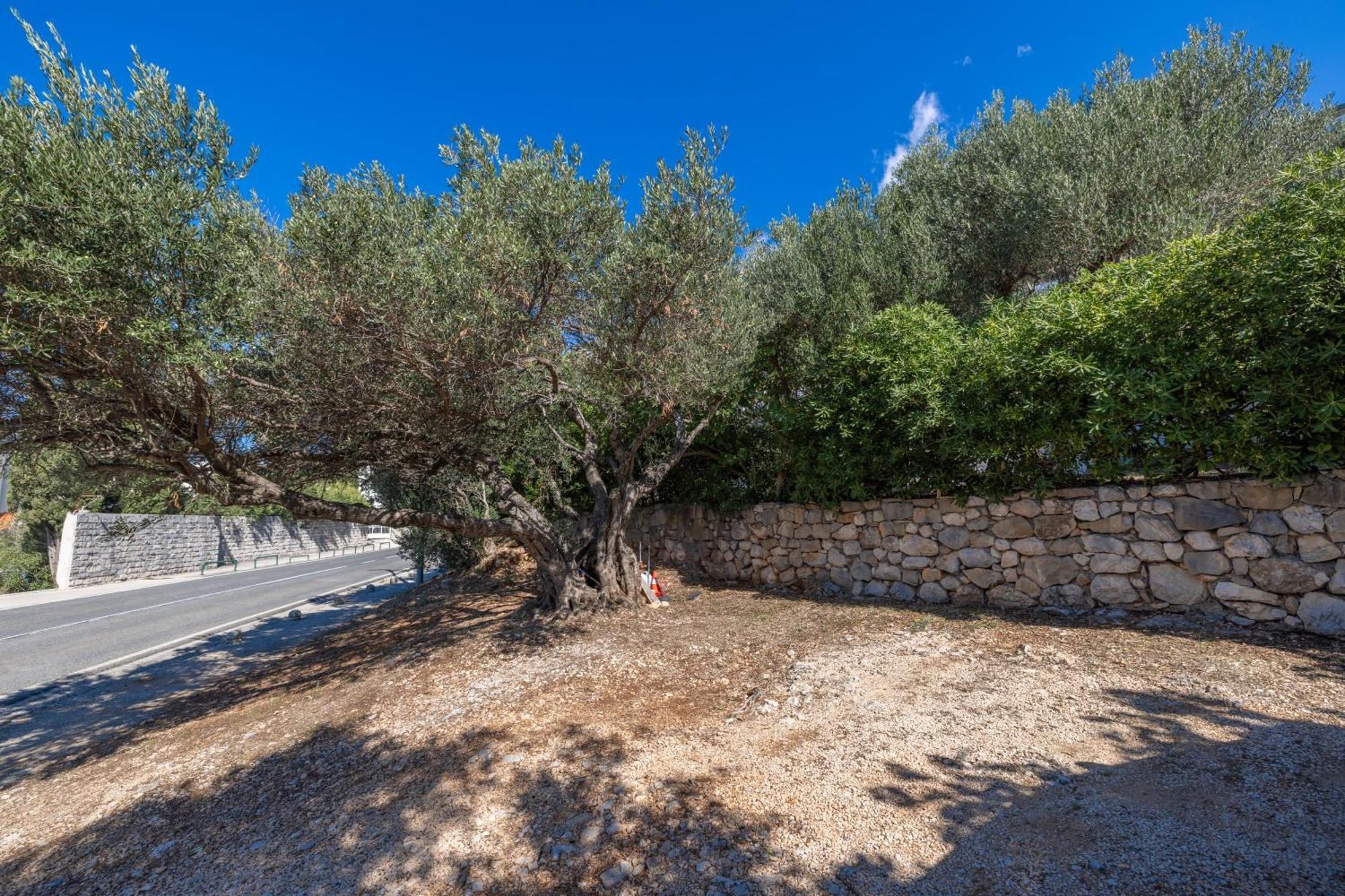 Apartmani Marta Tučepi Exterior foto