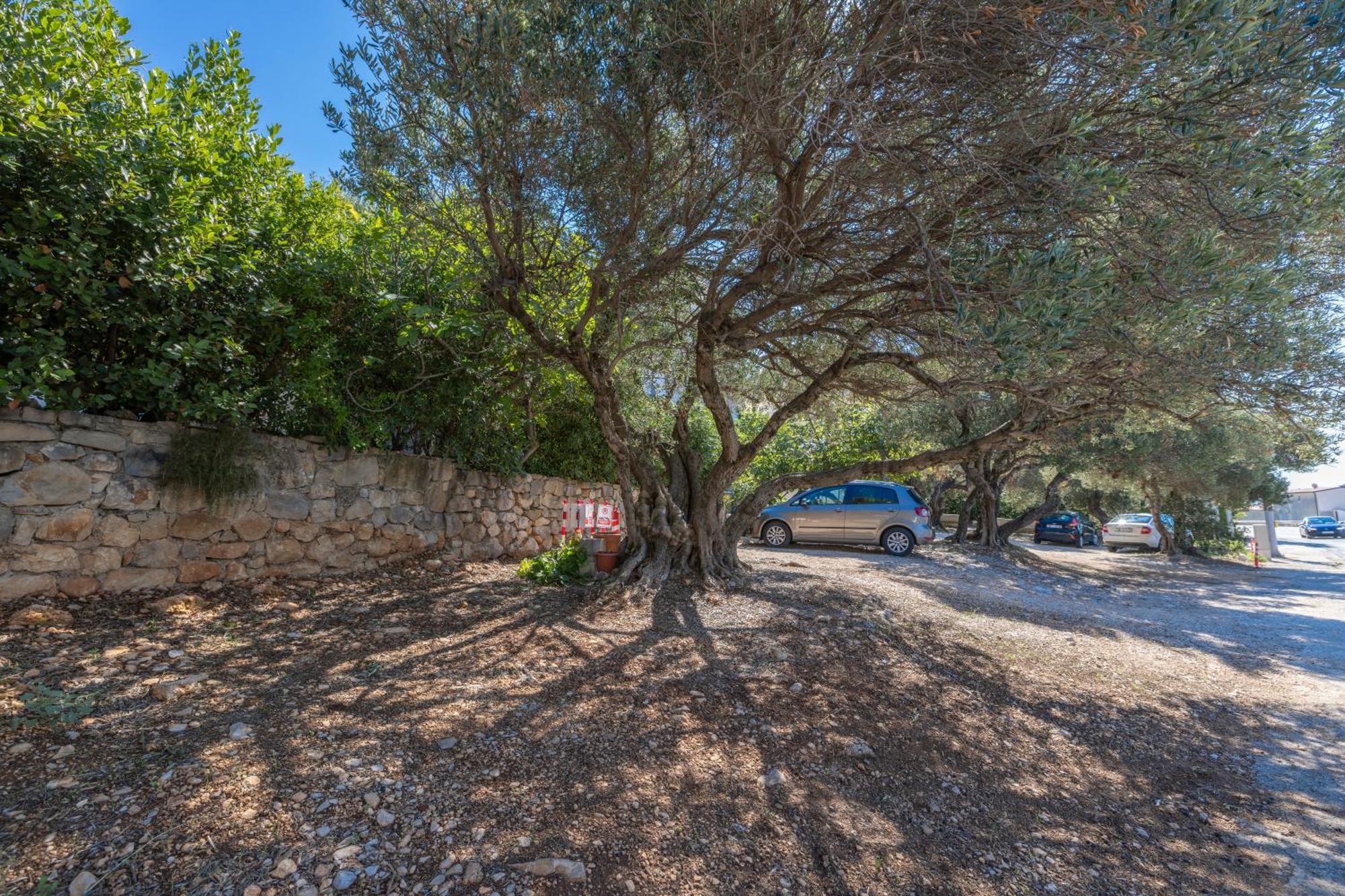 Apartmani Marta Tučepi Exterior foto